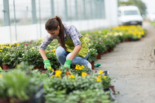 A woman working in a greenhouse-style garden or nursery, tending to rows of potted flowering plants with small yellow and purple blossoms, some with variegated foliage. She is wearing a blue plaid shirt, a green apron, and gardening gloves, kneeling on one knee while carefully handling the plants. The background shows glass panels and metal framework of the greenhouse, allowing natural light to illuminate the vibrant greenery and blooms. The garden area has a gravel or paved walking path running alongside the planting beds, organized neatly to facilitate plant care and maintenance. The scene demonstrates professional gardening practices within a cultivated outdoor environment, supporting services like garden maintenance and plant care typically offered in Chelsea or nearby areas. The natural light indicates a bright day, emphasizing the lush textures and lively colours of the garden display, consistent with quality gardening and landscaping work by Garden Maintenance Chelsea.