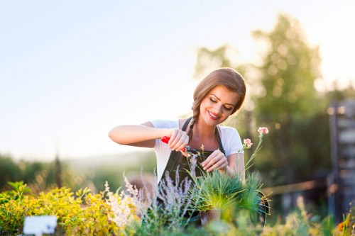 Team member assessing garden before work