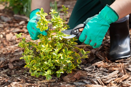 Supervisor inspecting a garden during a site assessment