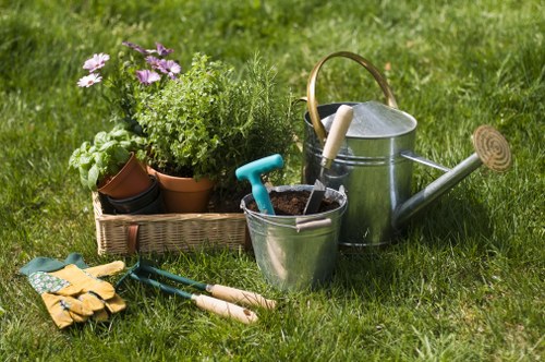 Professional hedge trimming service in Chelsea
