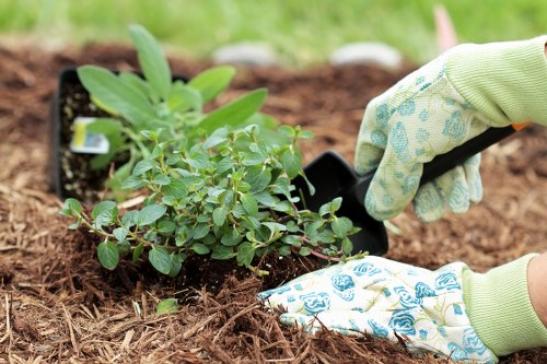 Team member preparing tools at a Chelsea garden with safety gear