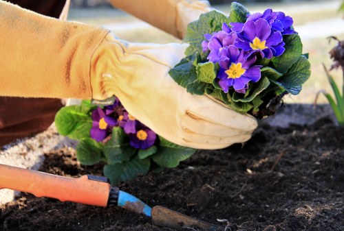 Operatives setting up a safe work area in a residential garden